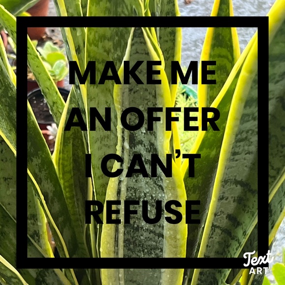 REASONABLE OFFERS👍 - Picture 2 of 13